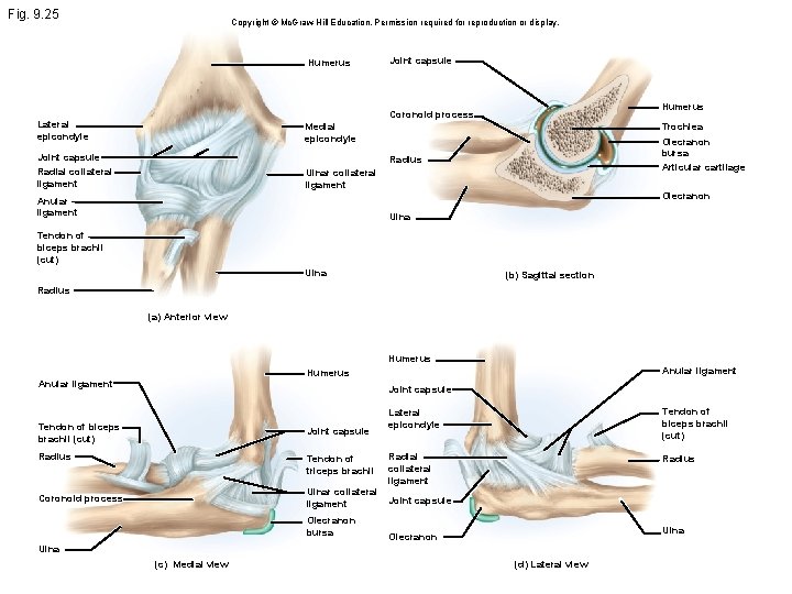Fig. 9. 25 Copyright © Mc. Graw Hill Education. Permission required for reproduction or