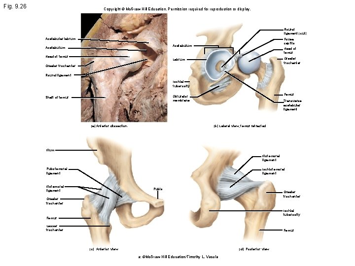 Fig. 9. 26 Copyright © Mc. Graw Hill Education. Permission required for reproduction or