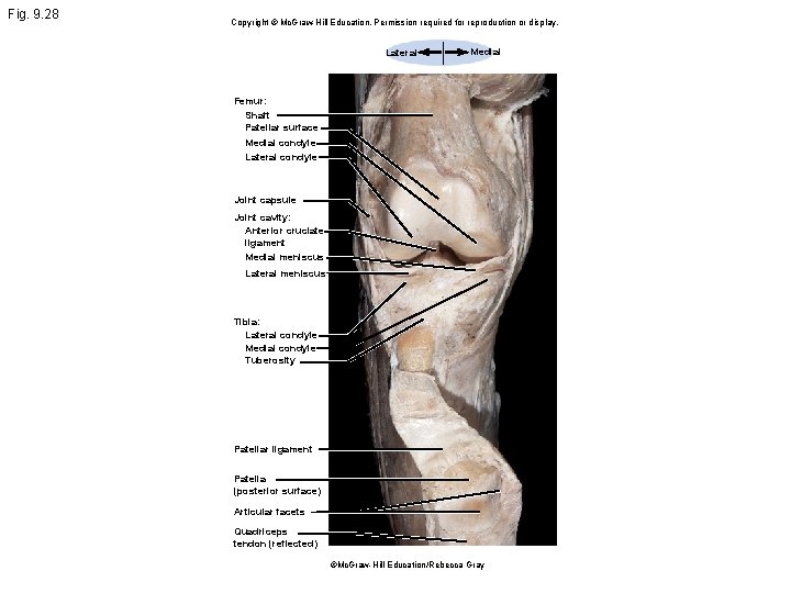 Fig. 9. 28 Copyright © Mc. Graw Hill Education. Permission required for reproduction or