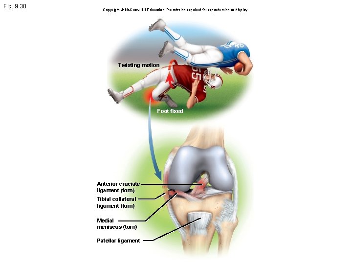 Fig. 9. 30 Copyright © Mc. Graw Hill Education. Permission required for reproduction or