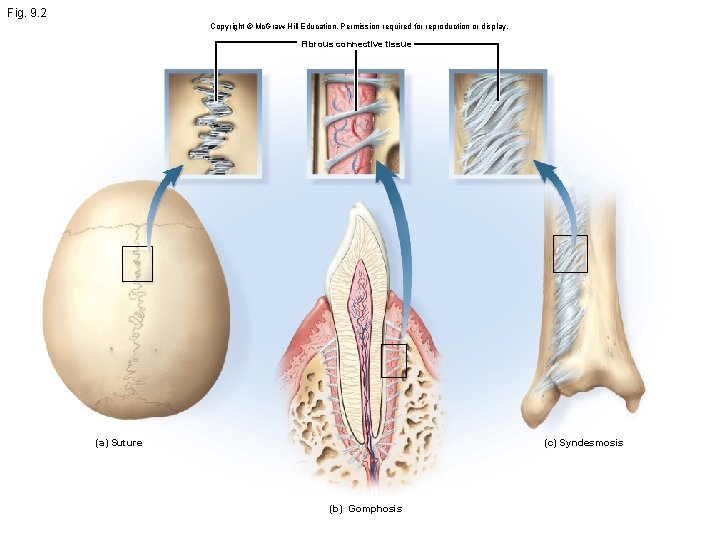 Fig. 9. 2 Copyright © Mc. Graw Hill Education. Permission required for reproduction or