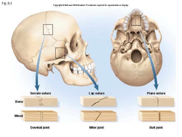 Fig. 9. 3 Copyright © Mc. Graw Hill Education. Permission required for reproduction or