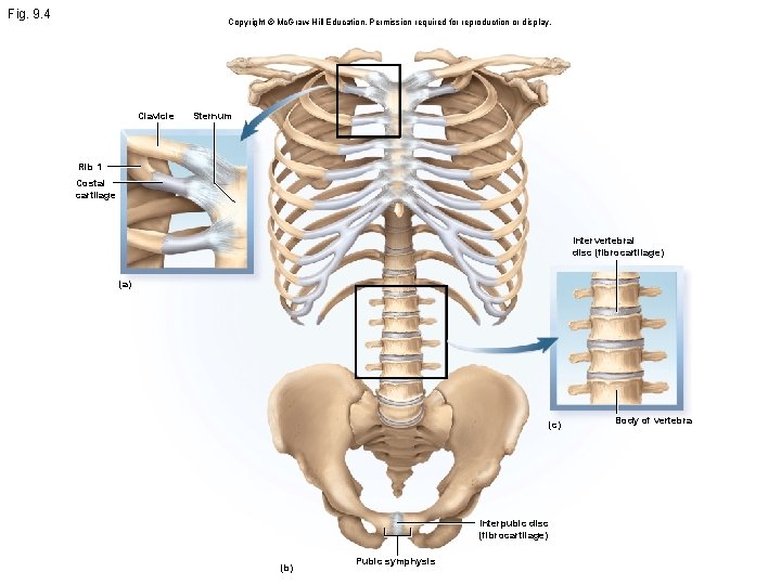 Fig. 9. 4 Copyright © Mc. Graw Hill Education. Permission required for reproduction or