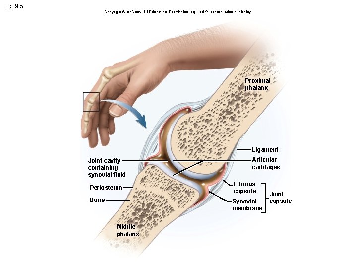 Fig. 9. 5 Copyright © Mc. Graw Hill Education. Permission required for reproduction or