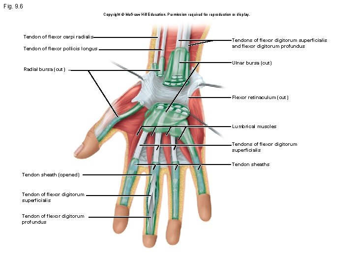 Fig. 9. 6 Copyright © Mc. Graw Hill Education. Permission required for reproduction or