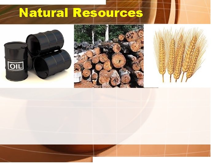 Natural Resources 