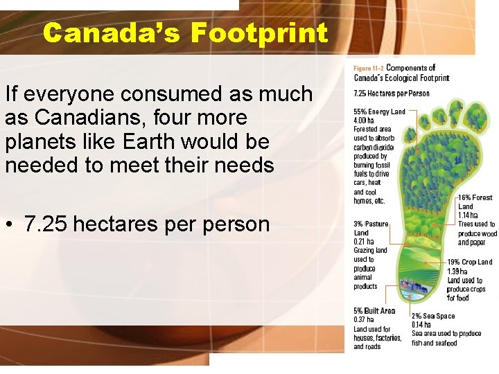 Canada’s Footprint If everyone consumed as much as Canadians, four more planets like Earth