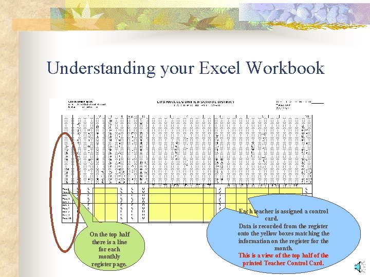 Understanding your Excel Workbook On the top half there is a line for each