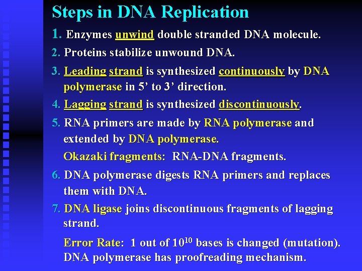 Steps in DNA Replication 1. Enzymes unwind double stranded DNA molecule. 2. Proteins stabilize