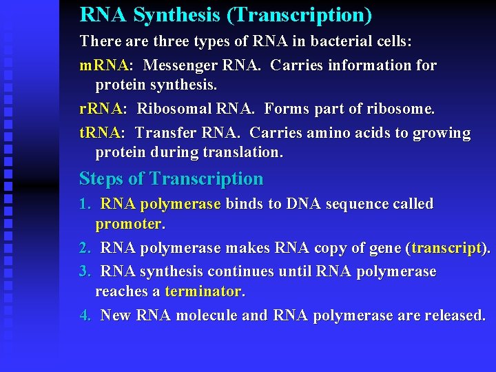 RNA Synthesis (Transcription) There are three types of RNA in bacterial cells: m. RNA: