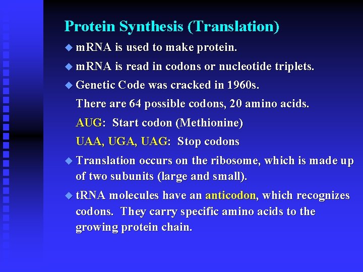 Protein Synthesis (Translation) u m. RNA is used to make protein. u m. RNA
