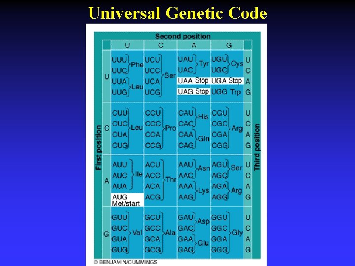 Universal Genetic Code 