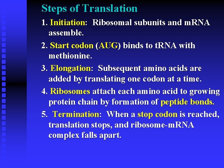Steps of Translation 1. Initiation: Ribosomal subunits and m. RNA assemble. 2. Start codon