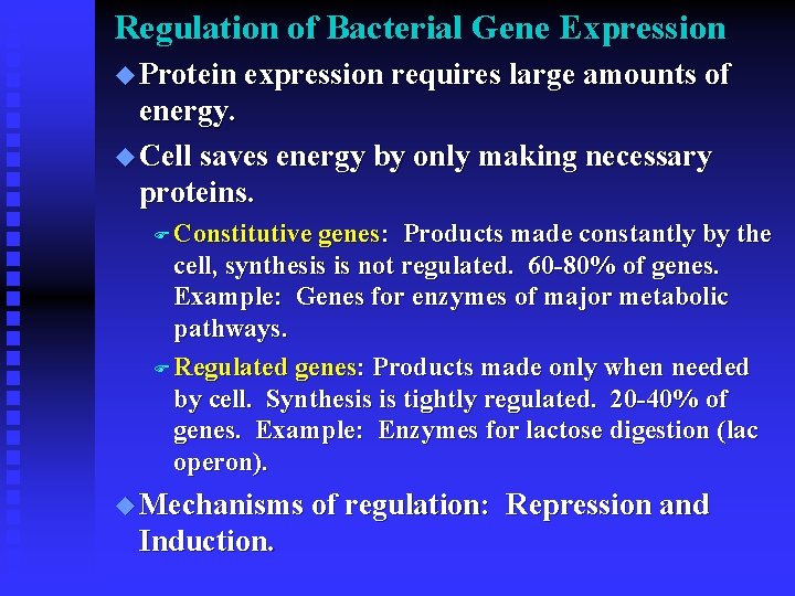Regulation of Bacterial Gene Expression u Protein expression requires large amounts of energy. u