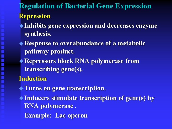 Regulation of Bacterial Gene Expression Repression u Inhibits gene expression and decreases enzyme synthesis.