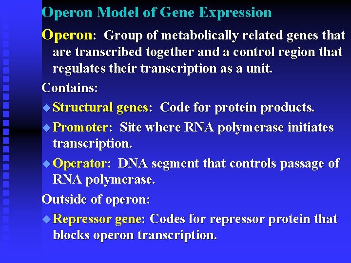 Operon Model of Gene Expression Operon: Group of metabolically related genes that are transcribed