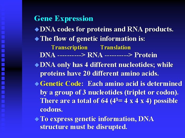 Gene Expression u DNA codes for proteins and RNA products. u The flow of