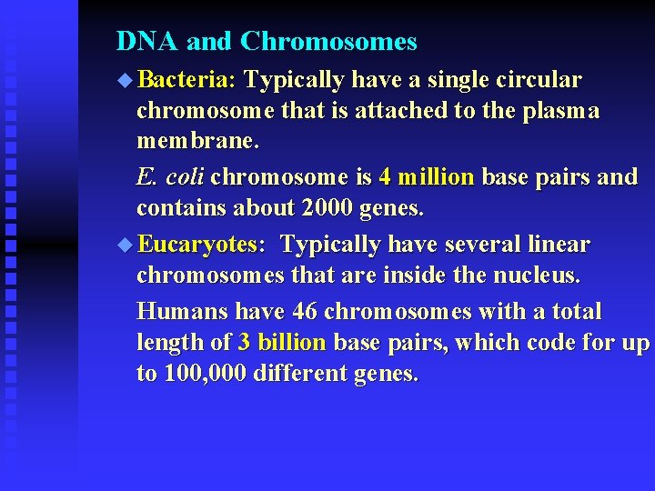 DNA and Chromosomes u Bacteria: Typically have a single circular chromosome that is attached