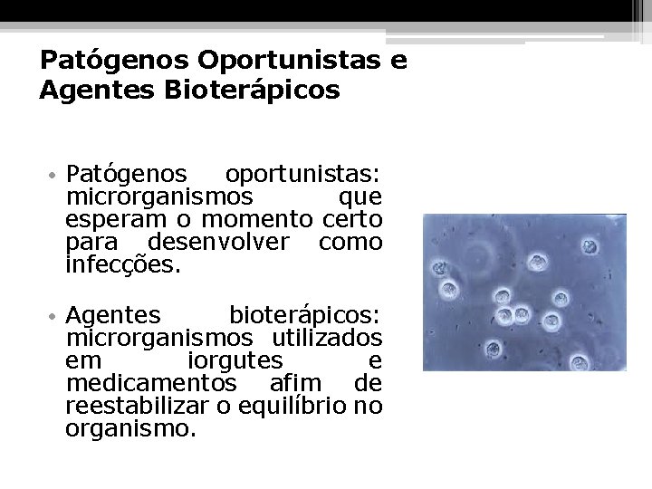 Patógenos Oportunistas e Agentes Bioterápicos • Patógenos oportunistas: microrganismos que esperam o momento certo