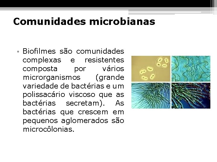 Comunidades microbianas • Biofilmes são comunidades complexas e resistentes composta por vários microrganismos (grande