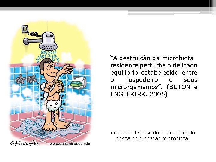 “A destruição da microbiota residente perturba o delicado equilíbrio estabelecido entre o hospedeiro e