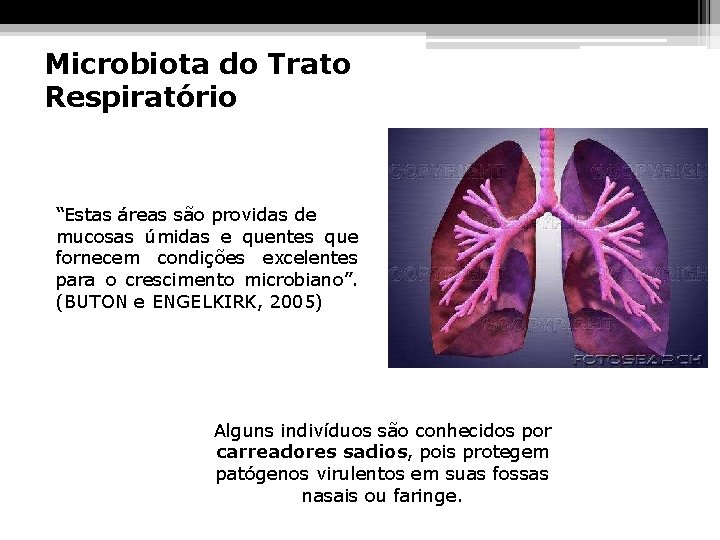 Microbiota do Trato Respiratório “Estas áreas são providas de mucosas úmidas e quentes que