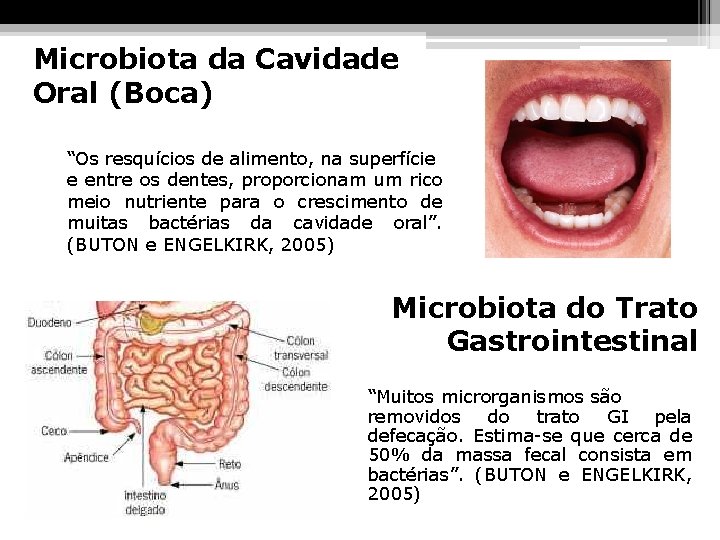 Microbiota da Cavidade Oral (Boca) “Os resquícios de alimento, na superfície e entre os