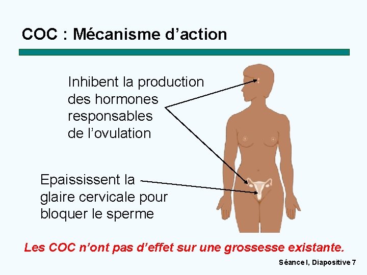 COC : Mécanisme d’action Inhibent la production des hormones responsables de l’ovulation Epaississent la