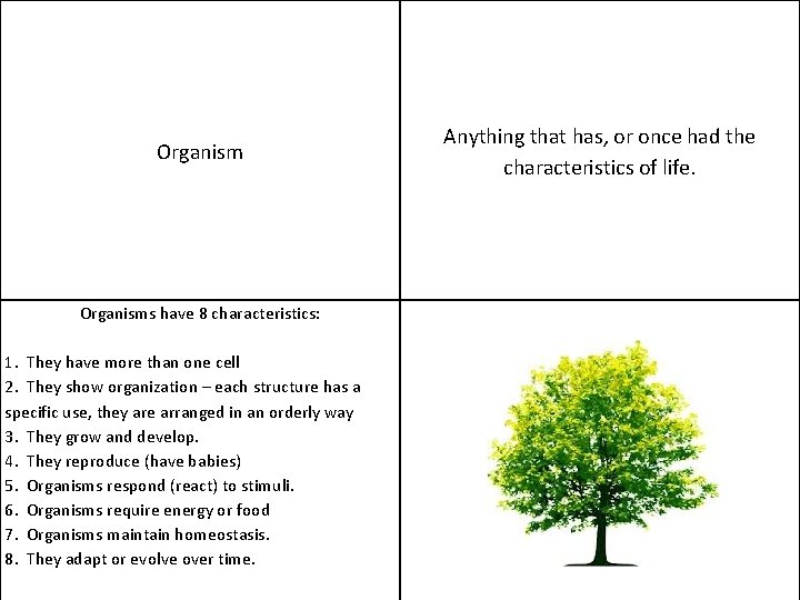 Organisms have 8 characteristics: 1. They have more than one cell 2. They show