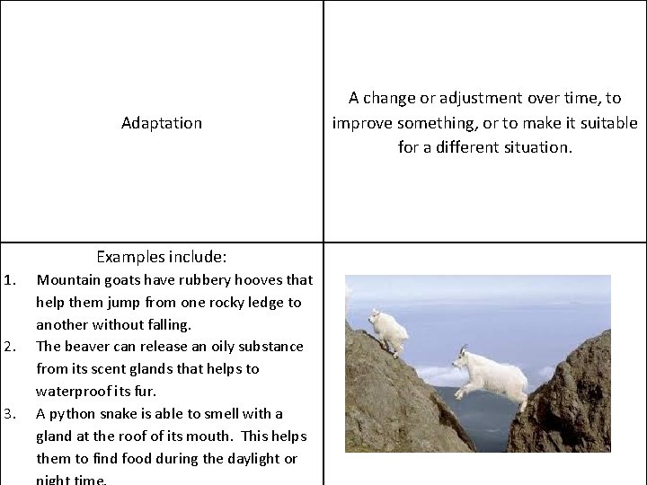 Adaptation Examples include: 1. 2. 3. Mountain goats have rubbery hooves that help them