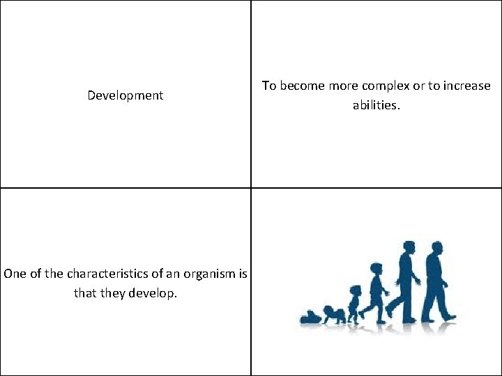 Development One of the characteristics of an organism is that they develop. To become