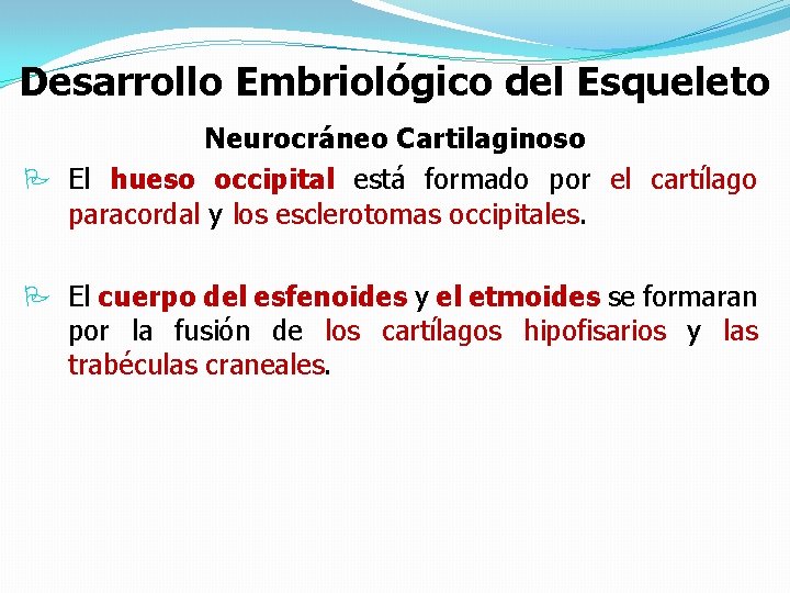 Desarrollo Embriológico del Esqueleto Neurocráneo Cartilaginoso P El hueso occipital está formado por el