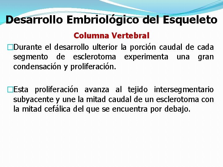 Desarrollo Embriológico del Esqueleto Columna Vertebral �Durante el desarrollo ulterior la porción caudal de