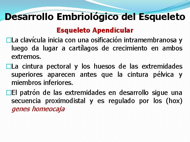 Desarrollo Embriológico del Esqueleto Apendicular �La clavícula inicia con una osificación intramembranosa y luego