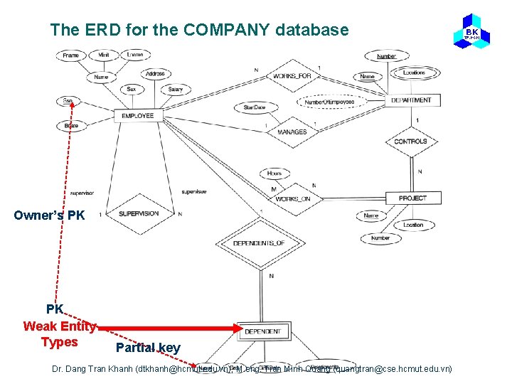 The ERD for the COMPANY database Owner’s PK PK Weak Entity Types Partial key