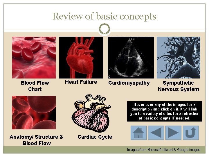 Review of basic concepts Blood Flow Chart Heart Failure Cardiomyopathy Sympathetic Nervous System Hover