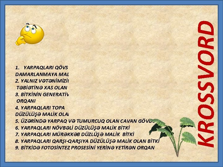 A N BB A Q D Ə M İİ R T O O X