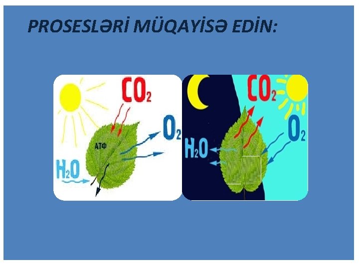 PROSESLƏRİ MÜQAYİSƏ EDİN: 