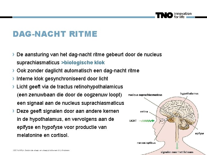 DAG-NACHT RITME De aansturing van het dag-nacht ritme gebeurt door de nucleus suprachiasmaticus >biologische