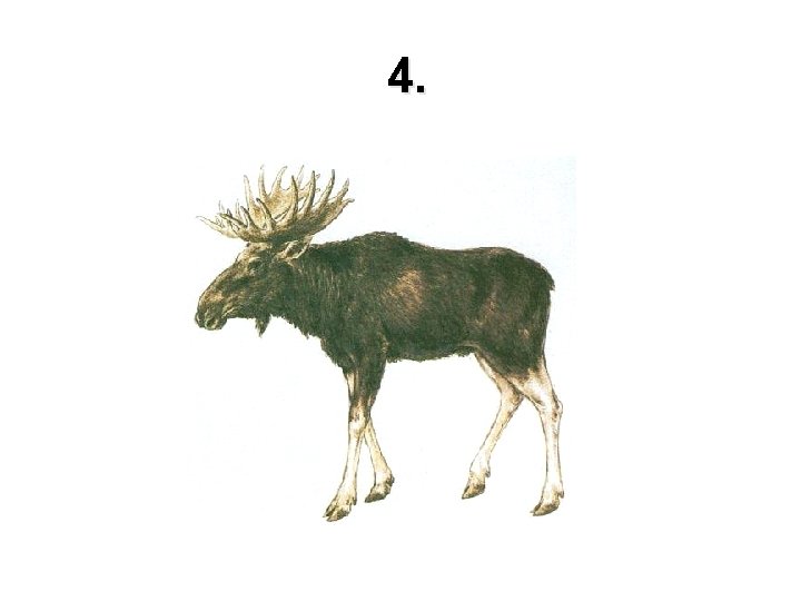 4. 