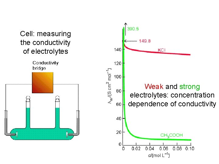 Cell: measuring the conductivity of electrolytes Weak and strong electrolytes: concentration dependence of conductivity