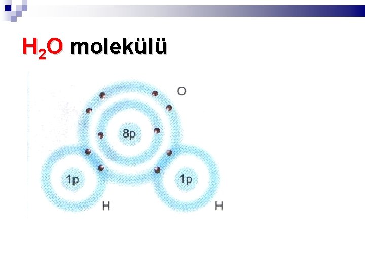 H 2 O molekülü 