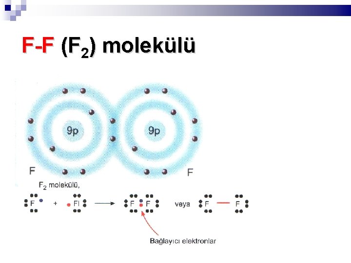 F-F (F 2) molekülü 