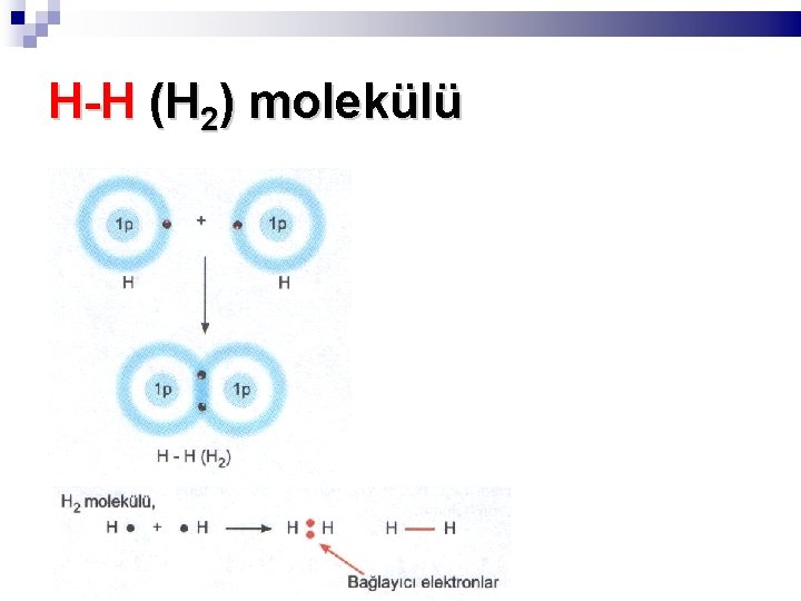 H-H (H 2) molekülü 