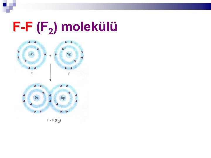 F-F (F 2) molekülü 