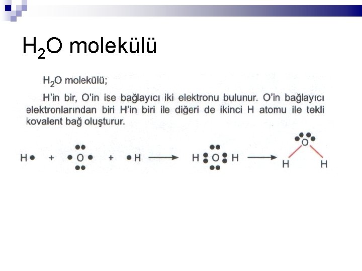 H 2 O molekülü 