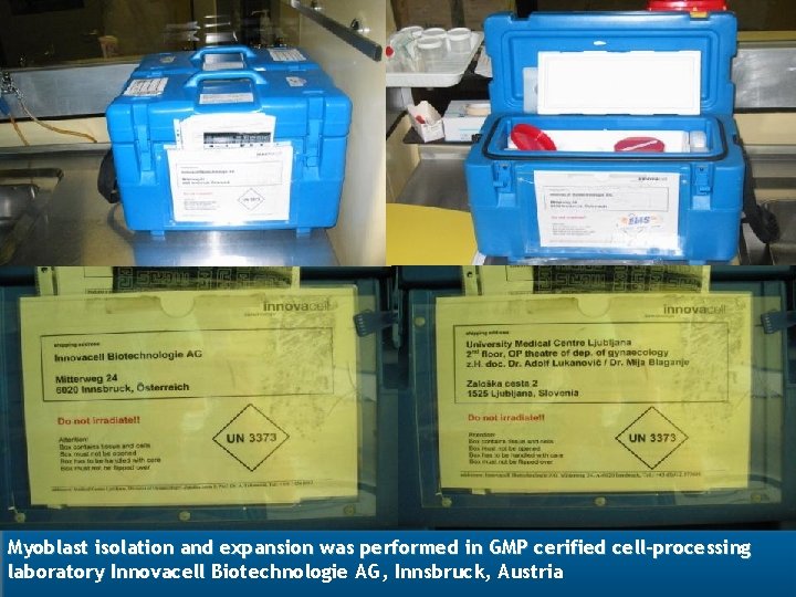 Myoblast isolation and expansion was performed in GMP cerified cell-processing laboratory Innovacell Biotechnologie AG,