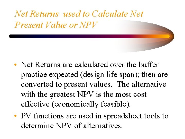 Net Returns used to Calculate Net Present Value or NPV • Net Returns are