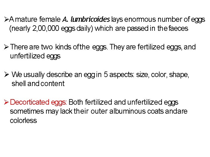  A mature female A. lumbricoides lays enormous number of eggs (nearly 2, 000