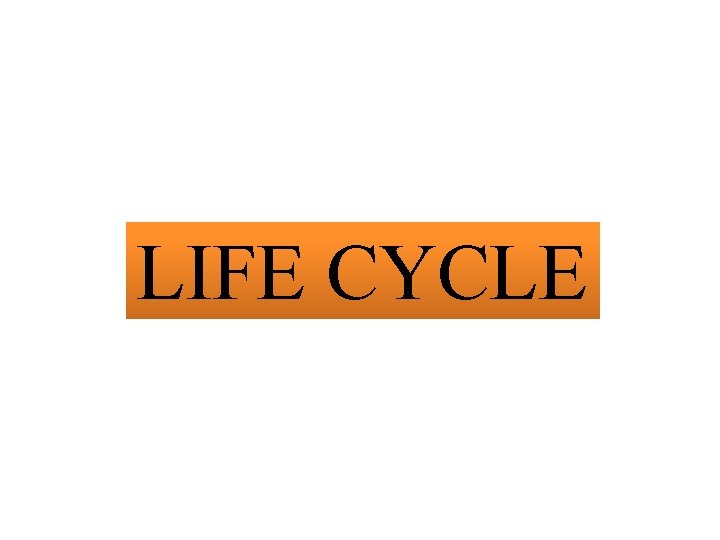 LIFE CYCLE 